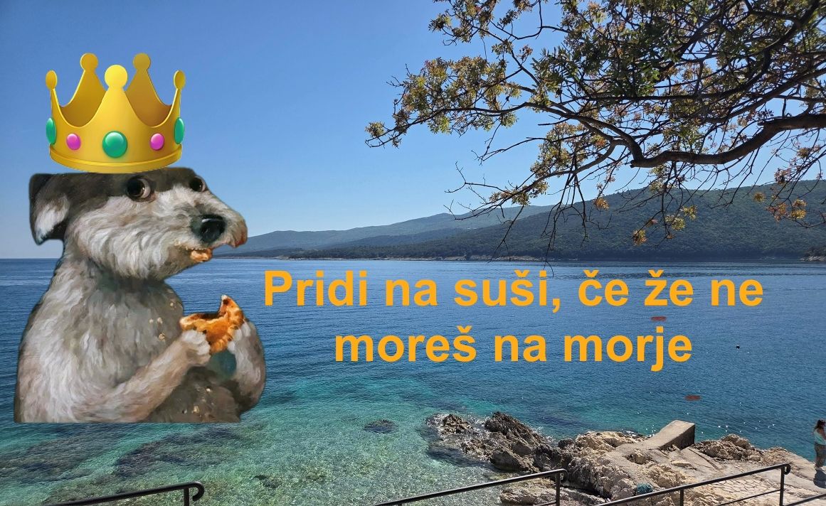 // A-Infoshop - 20 let // VEGANSKA VEČERJA - sušiii