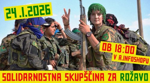 Odprta skupščina za podporo Rožavi