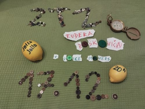 Letni koncert ZTZ Ruđera Boškovića