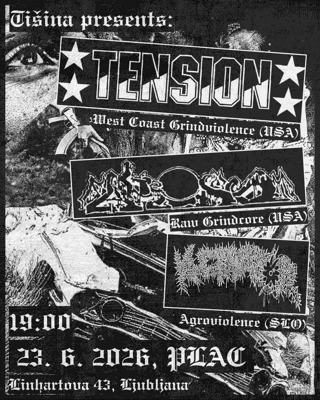 Punk koncert